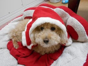 DSCN0496 - コピー