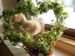 DSCN0569 - コピー