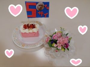 DSCN1027 - コピー