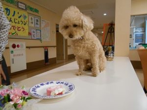 DSCN1036 - コピー