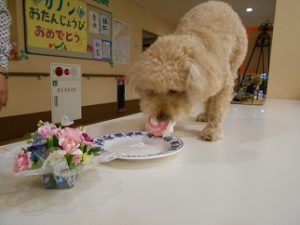 DSCN1037 - コピー